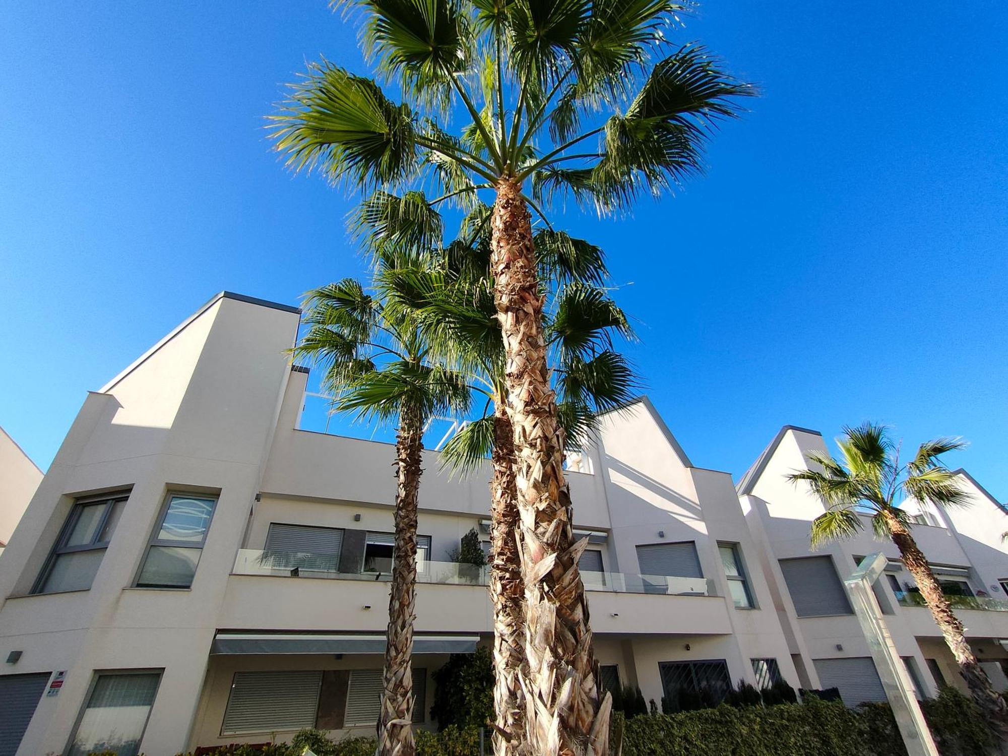 Villa Amalia Eco Torrevieja Szoba fotó